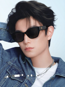 BOLON | UV Protection Polarized Sunglasses