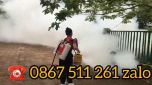 Máy phun khói diệt côn trùng Kawasaki YL70 chính hãng tại Thanh Hóa