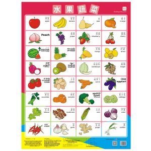 Early Education Learning Chart Cards - Chinese Pinyin Fruits Vegetables Animals Vehicles Colors Shapes Numbers