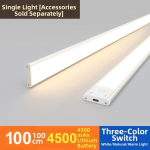 DENGSHANGWENHUA | Remote Control Adhesive Sensor Wireless Rechargeable LED Light Strip