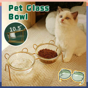 Protective Glass Water Bowl: A Cute & Functional Pet Accessory