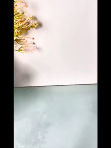 Laundry Gel 3in1 Detergen Penghilang Noda AntiBakteri / Sabun Cuci Baju Liquid Wangi Tahan Lama-fr gallery