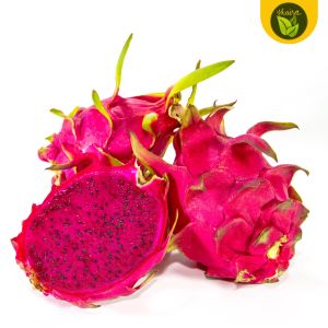 Dragon Fruit 100 Seeds for Planting Binhi Pantanim