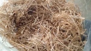 100g rễ cỏ chỉ cỏ gà sấy khô