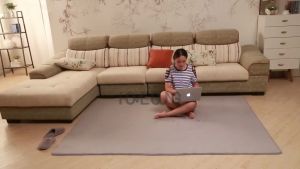 5 Size Nordic Coral Velvet Carpet for Living Room Soft Mats Crystal Velvet Floor Carpet Rug