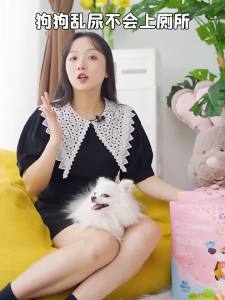 Cocoyo | Tấm Lót Huấn Luyện Thú Cưng Loại Bỏ Mùi