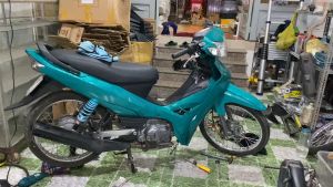 Bộ vỏ nhựa xe máy Sirius hàng Việt Nam loại 1 màu Lục Bảo