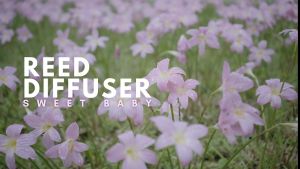 ARA Reed Diffuser SWEETBABY Pengharum Pewangi Ruangan Aromatherapy