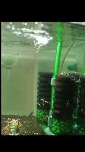 Bộ Lọc Vi Sinh BIO Êm Ái Có Thêm Khoang Chứa Phụ Kiện Lọc Bể Cá Có Sủi Oxy Lọc Vi Sinh Đa Năng QS-100A Và QS-200A