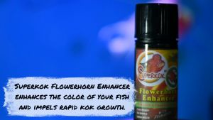 Superkok SUN Flowerhorn Enhancer 100ml For Golden-Yellow Colored Fishes