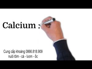 Khoáng Mix DCP Bổ Sung Khoáng Chất Ao Nuôi Tôm Cá Ốc Lươn