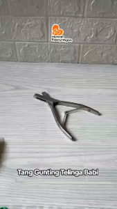 Gunting Telinga Babi Model U  Alat Potong Kuping Babi