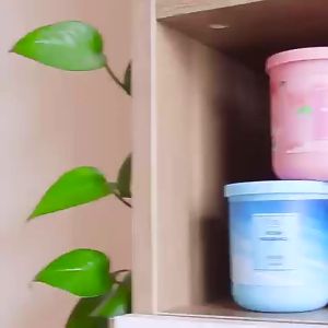 Air Freshener Solid Perfume Deodorizing solid aromatherapy