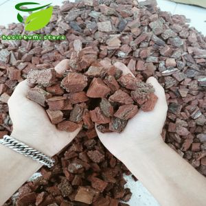 pine bark kulit pinus cacah steril 1kg media tanam alas kandang reftile