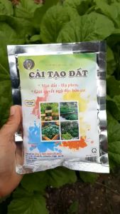 CẢI TẠO ĐẤT Chai Cứng Bạc Màu Hết Dinh Dưỡng Và Nấm Bệnh