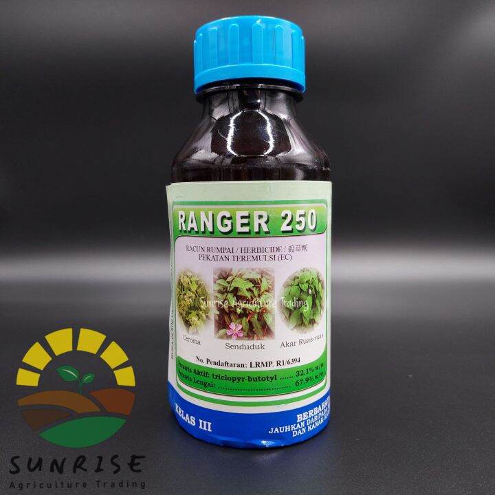 500ml Ranger 250 Pokok Triclopyr Butotyl Akar Ruas Ruas Ceroma Akar