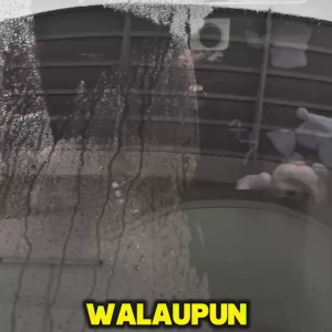 Premium Super Hydrophobic Glass Coating Glass Repel Windshield Coating Windscreen Repellent TRIION