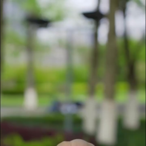 Disc Brake Lock For Motorcycle Home Hardware Bicycle Anti-Theft Locks Portable Motorcycle Disc Brake