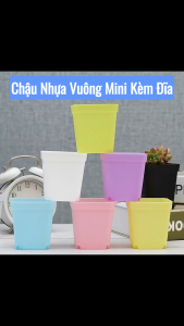 Combo 10 Chậu Nhựa Vuông Mini Kèm Đĩa - Chậu Nhựa Nhiều Màu Kèm Đĩa - Chậu Trồng Sen Đá Xương Rồng