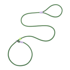 HamshMoc เชือกจูงสุนัข สายจูงสุนัข สายจูงสุนัขแบบคล้องคอ เชือกจูงฝึกสุนัข (พร้อมส่ง)