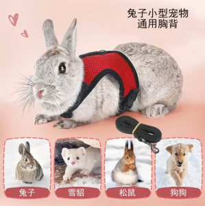 ÁO VEST BỘ DÂY ĐAI DÂY DẮT DÂY NỊT DÂY XÍCH THỎ CHÓ MÈO CHUỘT LANG CHỒN MỀM MẠI MÃ 3 DÀNH CHO THÚ CƯNG CHÓ MÈO THỎ CHỒN CHUỘT