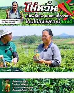 💚ของแท้แน่นอน B-Organic Grow บำรุงครบสูตร เร่งผลผลิต ฟื้นต้นโทรม เพิ่มภูมิคุ้มกัน แถมเสื้อฟรี 1 ตัว