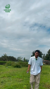 GANDASIL D DAUN PUPUK Nutrisi Lengkap Masa Pertumbuhan Tanaman Perkebunan Pertanian Tanaman Hias