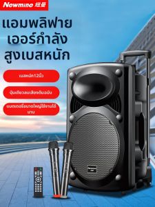 ลำโพงบลูทูธพกพา Newman B12 ลำโพงกลางแจ้งสำหรับเต้นรำในสวน กิจกรรมร้องเพลง ลำโพงคู่ ลำโพงเสียงลึก ลำโพงแบบเดินทาง