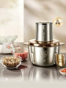 「China Plug」Bear | Electric Home Mini All-in-One Stainless Steel Meat Grinder