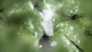 เสื้อยืดคอกลมลายสตรีทเกาหลี(ไซส์เด็ก/ฟรีไซส์/ โอเวอร์ไซส์/พลัสไซส์)คอตตอน 100% ยับยาก สีไม่ตก ไม่ขุย