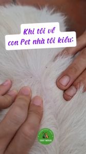 Bôi sống lưng FIPRONIL 0.25% diệt sạch ve ghẻ chấy rận bọ chét trên chó mèo lọ 10 ml