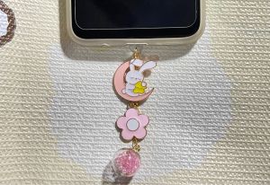 จุกกันฝุ่นมือถือ จุกกันฝุ่นหูฟัง iPhone iPad Android ปลั๊กกันฝุ่น Type C สำหรับ IPhone 14ขึ้นไป