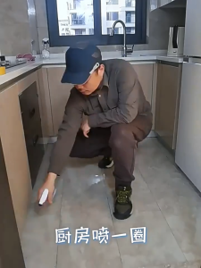 Pyrethroid Insecticide Liquid Concentrate  Spray Bed Bug Ant Fly Cockroach Killer Human Safe Insect Killer Semburan Insektisid Piretroid 臭虫跳蚤蟑螂药杀虫喷剂