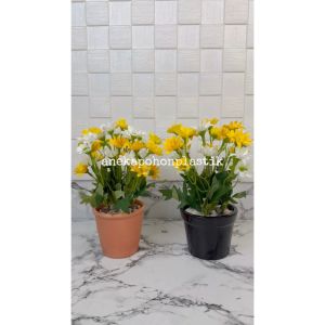 Tanaman Bunga Matahari Variasi Kuning Pot Melamine Orange & Pot Keramik Hitam Hiasan Meja Kantor Aesthetic