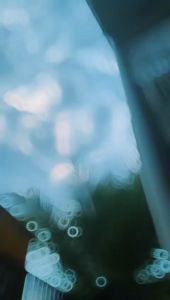 SIKAT PEMBERSIH LANTAI SIKAT KAMAR MANDI SIKAT SERBAGUNA HARGA TERMURAH BERKUALITAS