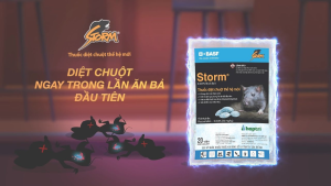 Sản phẩm kiểm soát chuột Storm 0.005% Dạng Viên của BASF (CHLB Đức)