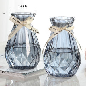 Hydroponic Plant Vase Creative Simple Glass Fresh Transparent Aquatic Green Radish Flower Arrangement Hyacinth Devils Ivy Vase