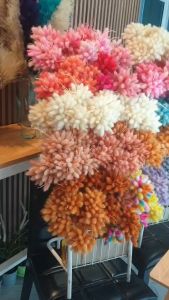 New ดอกหางกระต่าย ( สีแดง อ่อน ) ดอกไม้จริง ดอกไม้แห้ง ฟอกสี มีความละมุน สวยงาม DIY