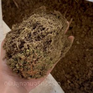 (ส่งฟรี)ขี้วัวนมบดละเอียด จำนวน 10 ถุง(ถุงละ 900 กรัม) มูลวัว แบบบด ปุ๋ยคอก จัดส่ง 5-7 วันทำการค่ะ