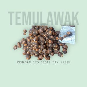 Temulawak murah fresh 1kg