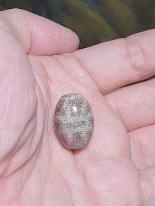 Aged Tibetan Xang Xung (Zhang Zhung) Vajra Da Luo Dzi full of red spots (with certificate free necklace cord) 西藏老矿象雄满朱砂金刚杵达洛天珠(带证书送项链绳)