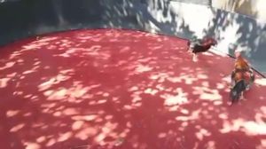 ไข่ไก่ชนพม่าม้าล่อรำงเมีองเหนือเจ้าคิมหันต์