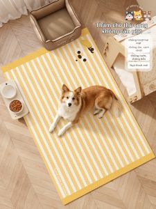 xy | Thảm Thú Cưng Chống Thấm Urine Dễ Làm Sạch Chống Trượt