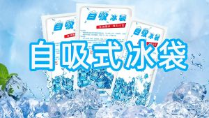 Self-absorbing Ice Pack - Cooler Storage for Breastmilk or Seafood Delivery Reusable  [Ready Stock]