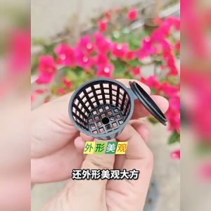 HCm- combo 5 rọ đựng phan tan chậm cho cây trồng bonsai lan..v.v