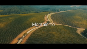 Antinori Pian delle Vigne Brunello di Montalcino 2018 750ml ABV 13.7 Central Italy Toscana Sangiovese Red Wine