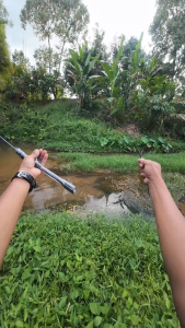 SeaHunter Blue Shark Joran Pancing BC Casting/SpinningFUJI O Guide Ring Max 10kg Power UL Ultra-light Fishing Rod