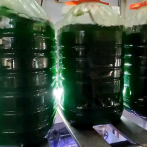 Fertilizer f/2 media for Marine Saltwater Freshwater Phytoplankton nannochloropsis chlorella vulgaris green water