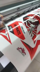 Motorstar GPR 250 Z200s z200ii xplorer z200 full body decals