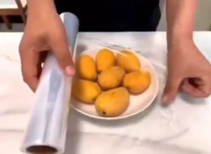 OV756 Plastik Wraping bungkus Pelindung Makanan Warp Plastic Food Grade